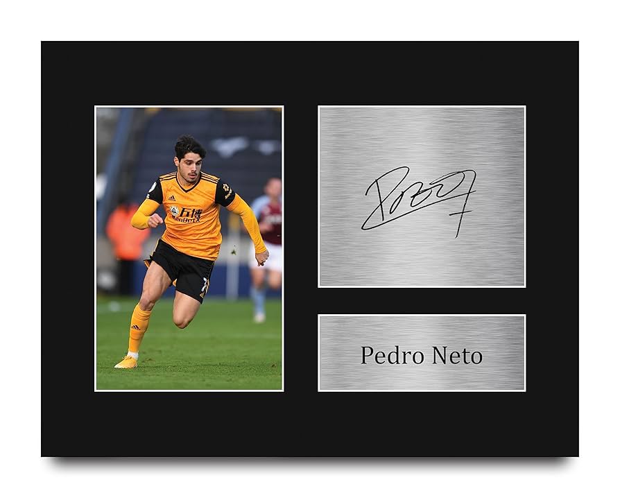 Amazon.com: HWC Trading Pedro Neto Wolves Gifts Printed